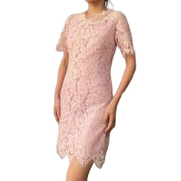 entro Dresses & Skirts - Entro Pink Lace Feminine Bodycon Short BRAND NEW with Tags Dress